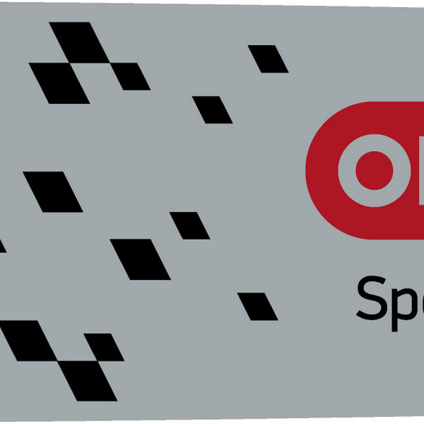 Oregon 104TXLNA074 Speedcut Nano 10" Guide Bar Gray Default Title