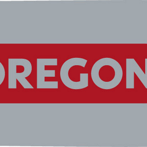 Oregon 160PXBK041 .050" Gauge .325" Pitch 16" Pro-Am Bar Default Title