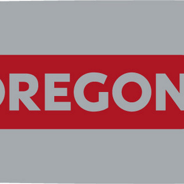 Oregon 160SXEA318 AdvanceCut™ Guide Bar 16" Default Title