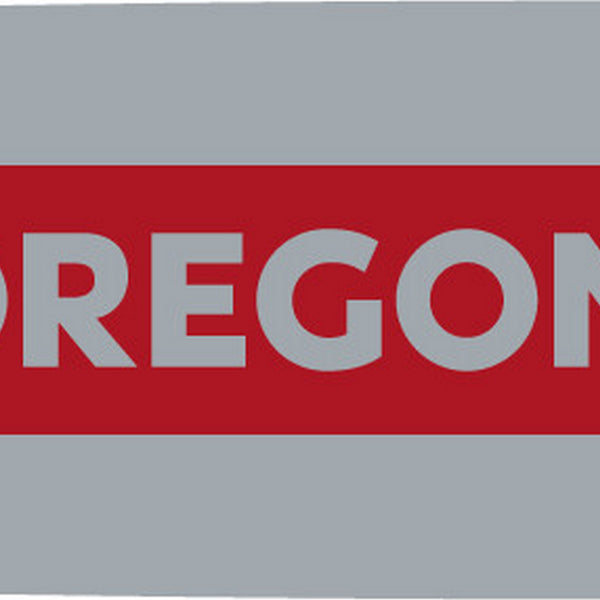 Oregon 243ATMD009 DuraCut™ Guide Bar 24" Default Title
