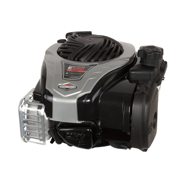 Briggs & Stratton 9P702-0294-F1 Engine Packed Single Carton
