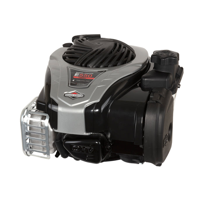 Briggs & Stratton 9P702-0294-F1 Engine Packed Single Carton