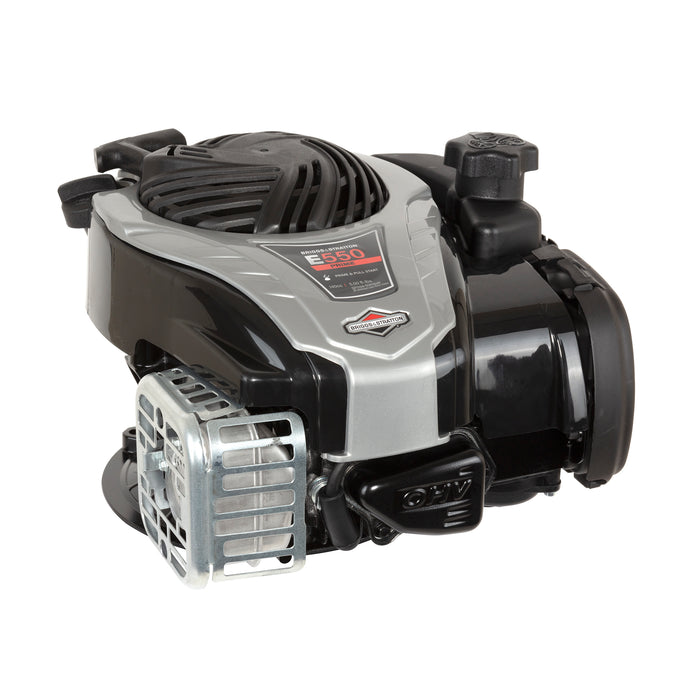 Briggs & Stratton 9P702-0294-F1 Engine Packed Single Carton