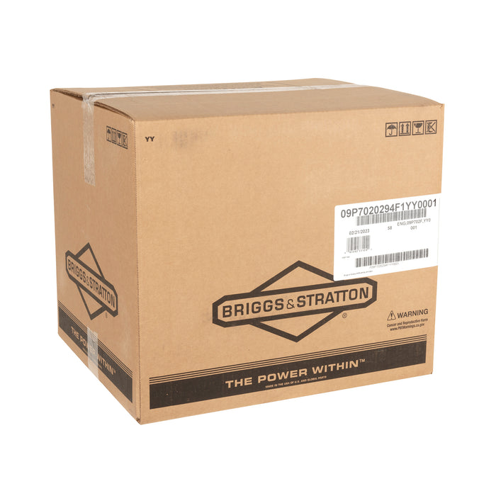 Briggs & Stratton 9P702-0294-F1 Engine Packed Single Carton