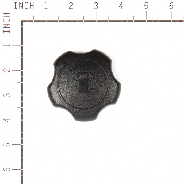 Briggs & Stratton 4270 Cap 5 Pack 795027