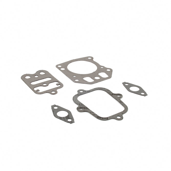 Briggs & Stratton 555581 GASKET SET-VALVE