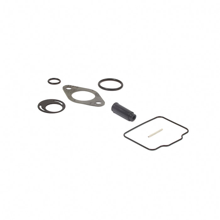 Briggs & Stratton 555605 Kit-Carb Overhaul