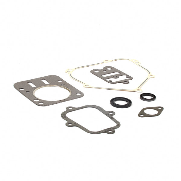 Briggs & Stratton Gasket Set-engine 555631