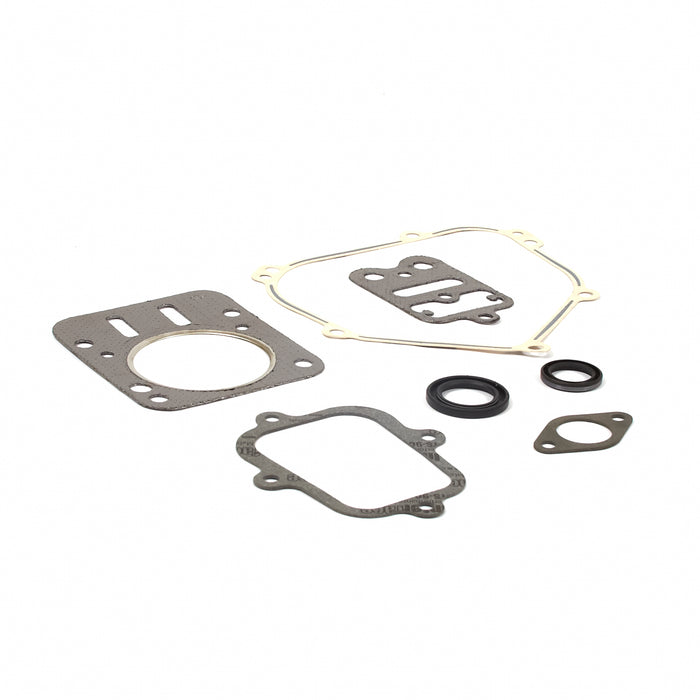 Briggs & Stratton Gasket Set-engine 555631