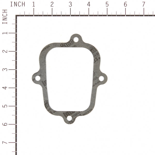 Briggs & Stratton 555679 Cover