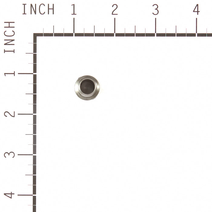 Briggs & Stratton 555690 Disperser