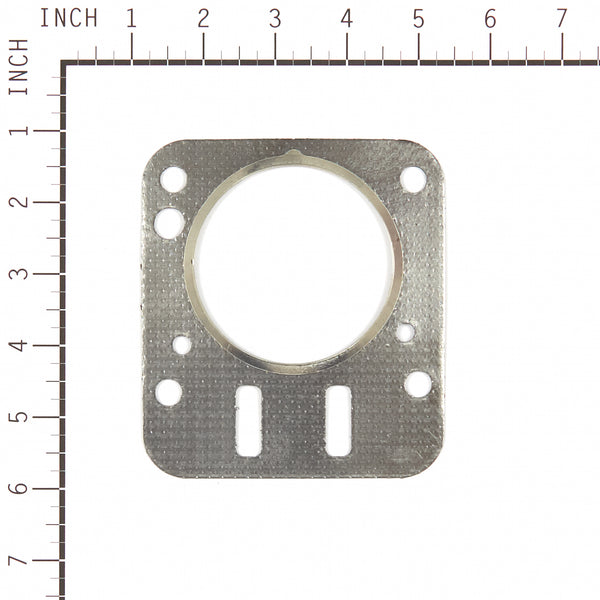Briggs & Stratton 555698 Head