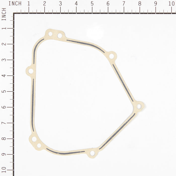 Briggs & Stratton 557110 Gasket