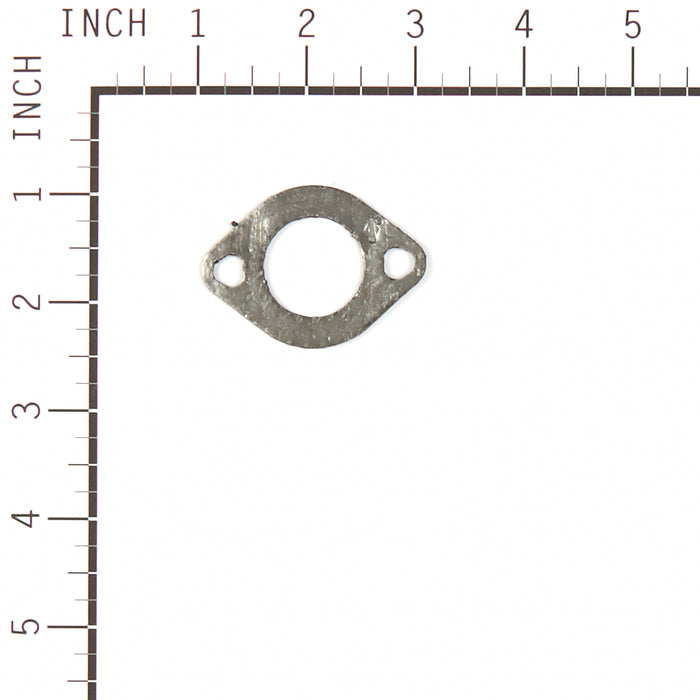 Briggs & Stratton 557110 Gasket
