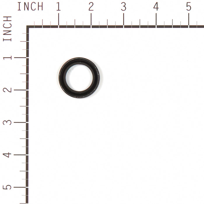 Briggs & Stratton 557110 Gasket