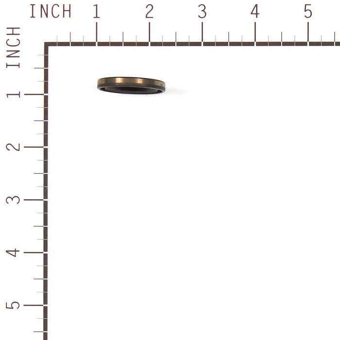 Briggs & Stratton 557110 Gasket