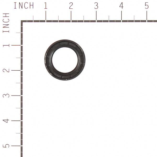 Briggs & Stratton 557110 Gasket