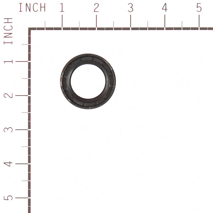 Briggs & Stratton 557110 Gasket