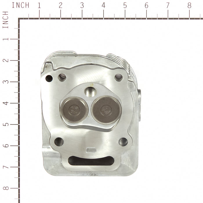 Briggs & Stratton 809201 Head-Cylinder