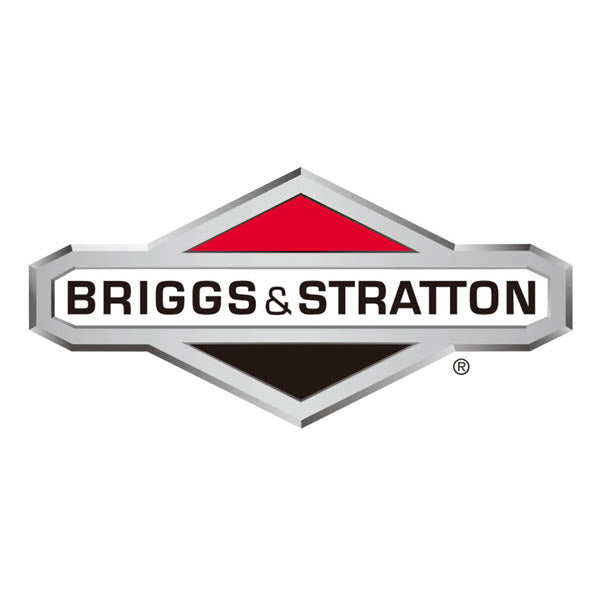 Briggs & Stratton 699641 Seat-Valve