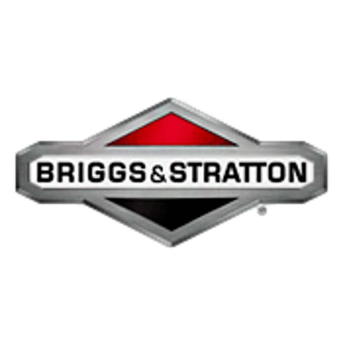 Briggs & Stratton 1697090 48V Max 5.0Ah Lithium-Ion Battery