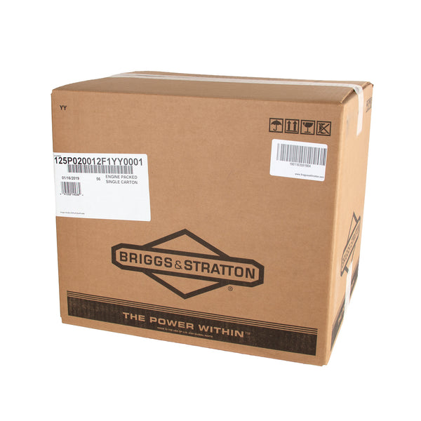 Briggs & Stratton 875 Professional Series Engine