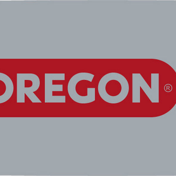 OREGON 153VXLHD025 CHAINSAW GUIDE BAR 15" VERSACUT