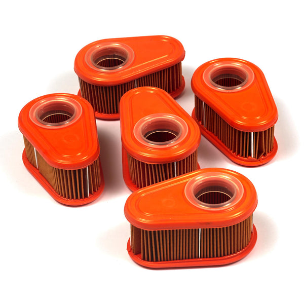 BRIGGS & STRATTON 4245 AIR FILTER (5 OF 792038)