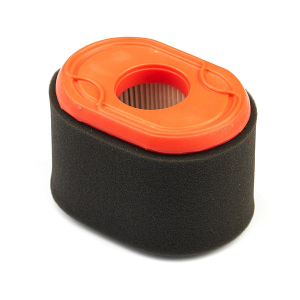 Briggs & Stratton 796970 Air Filter for OHV Engines