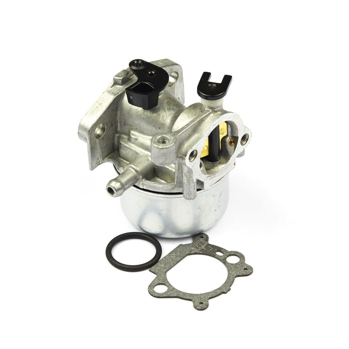 BRIGGS & STRATTON 799866 CARBURETOR (D)