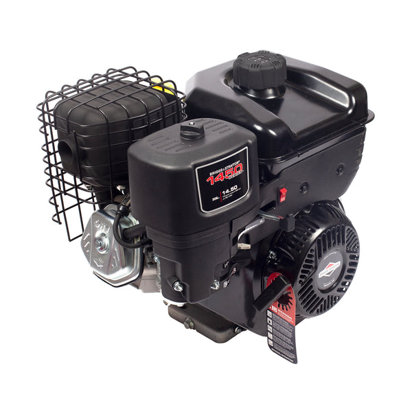 Briggs & Stratton 19N132-0055-F1 1450 Series Horizontal OHV