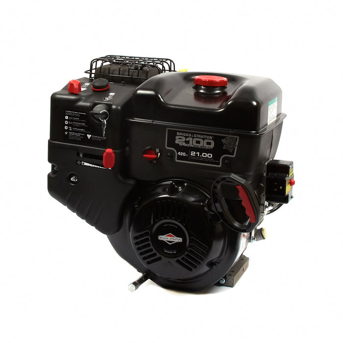 Briggs & Stratton 25M137-0019-F1 Engine