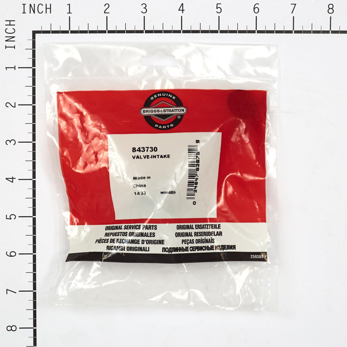 BRIGGS & STRATTON 843730 VALVE