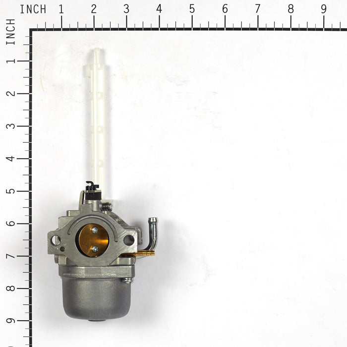 Briggs & Stratton 796122 Carburetor