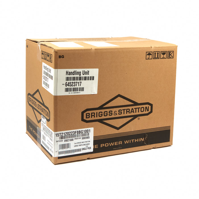 Briggs & Stratton 15T212-0223-F8 Engine Packed Single Carton
