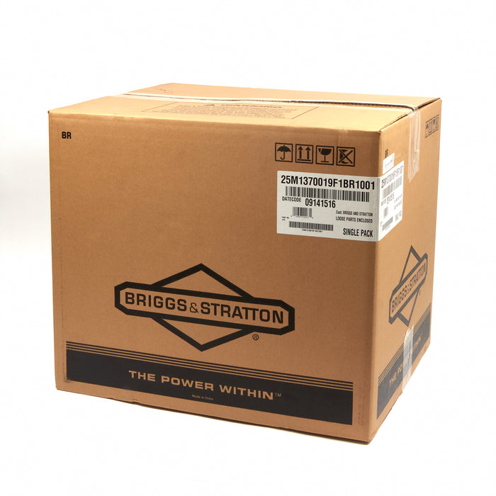 Briggs & Stratton 25M137-0019-F1 Engine