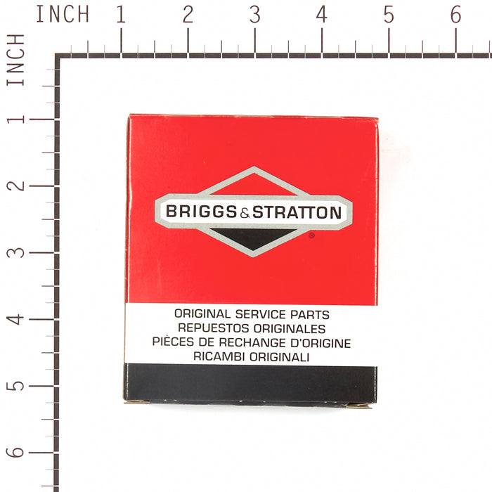 Briggs & Stratton 555665 Ring Set-010