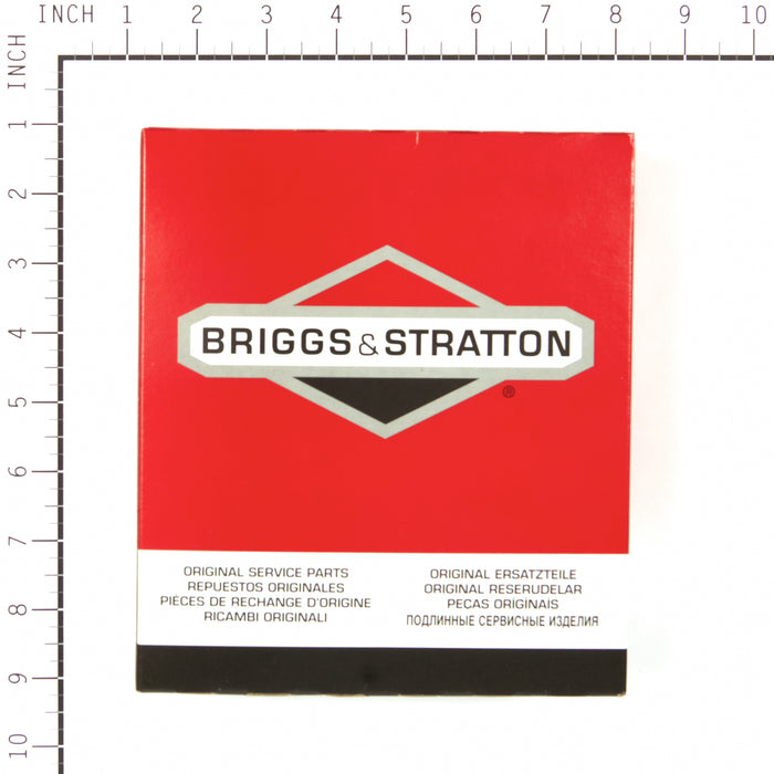 Briggs & Stratton 555699 Panel