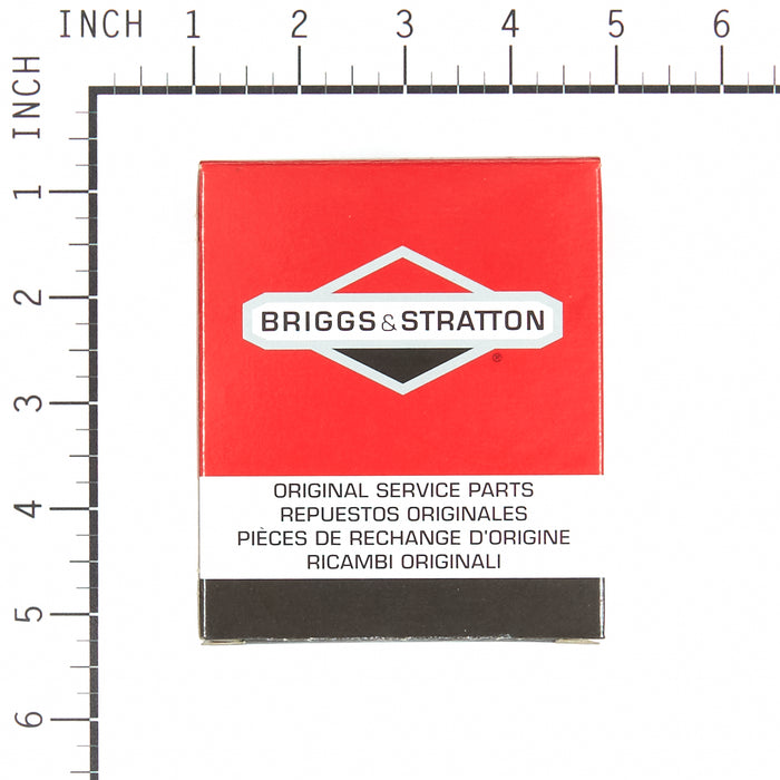 BRIGGS & STRATTON 799447 CARBURETOR
