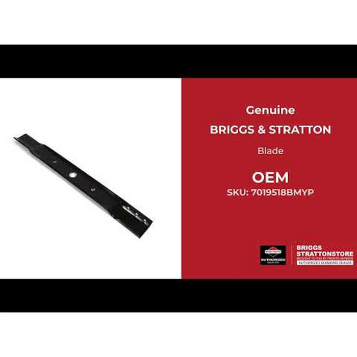 Briggs & Stratton 7019518BMYP 25
