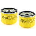 Briggs & Stratton 696854 Oil Filter (2 Pack)